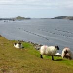 Irlande, image du site Eanàir