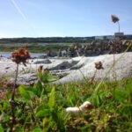 Irlande, image du site Eanàir